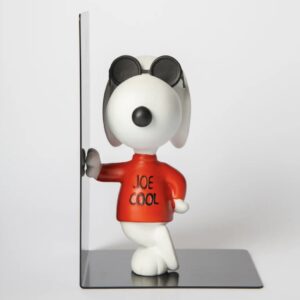 Blogo Snoopy book Joe cool